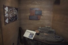 IMG_1899