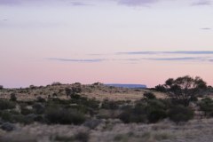 IMG_2402