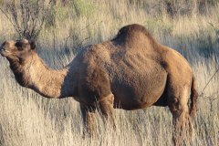 IMG_2514