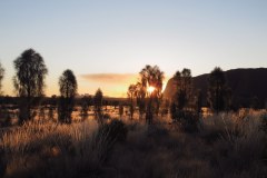IMG_2652