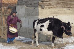 IMG_1749